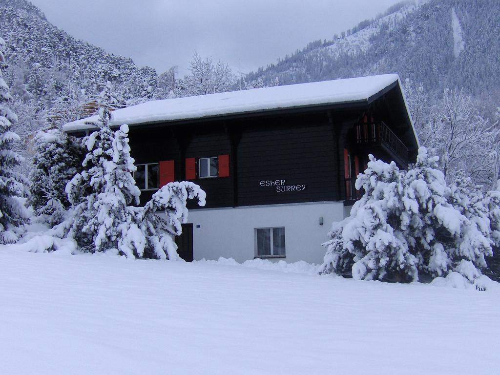 Chalet Esher Surrey Ried-Brig Cameră foto